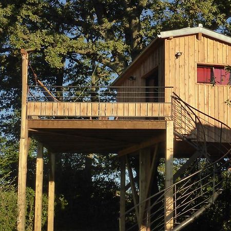 La Cabane Perchee Du Faucon Frechou-Frechet Экстерьер фото