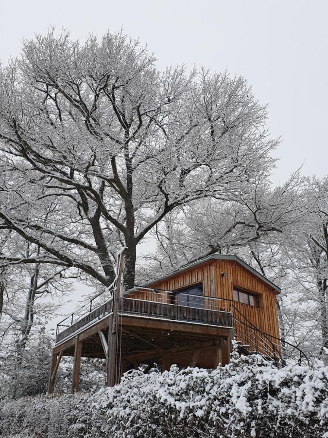 La Cabane Perchee Du Faucon Frechou-Frechet Экстерьер фото