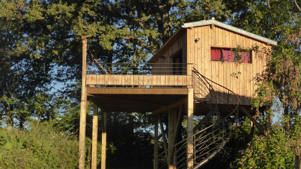 La Cabane Perchee Du Faucon Frechou-Frechet Экстерьер фото